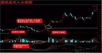 游宇宙的惯例靠齐theno.1提高玩家的主线完成度(图2)