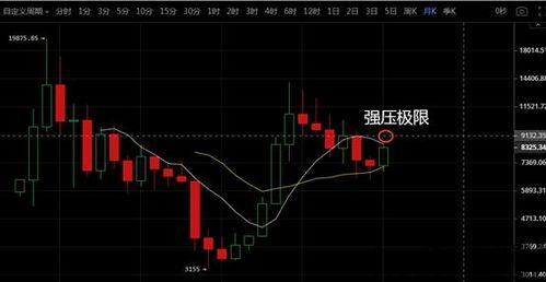 比特币本轮行情介绍图表,图表揭示上涨动力与未来展望(图2)