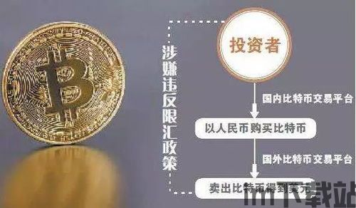 比特币币宝宝,数字货币的“萌宠”时代(图5)