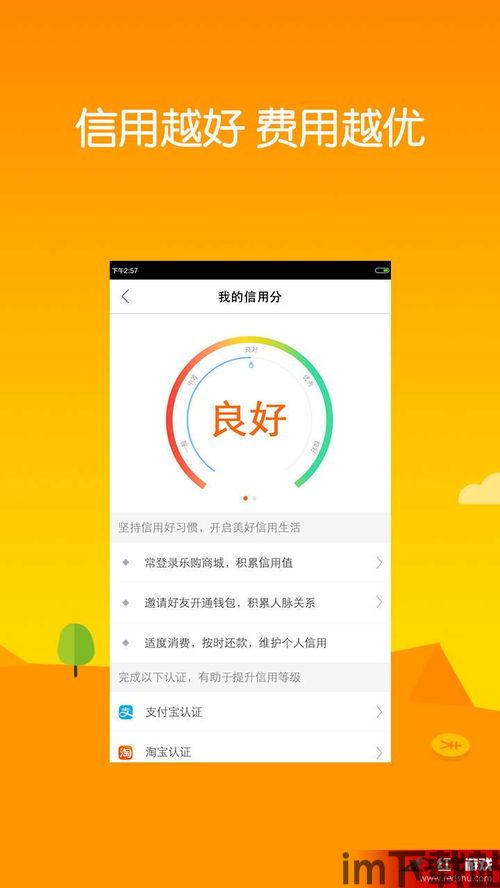 用信任钱包购买usdt,信任钱包——轻松购买USDT的便捷选择(图5)