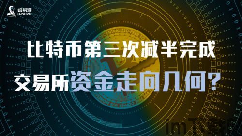 比特币第三次减半技术,技术变革与市场展望(图4)