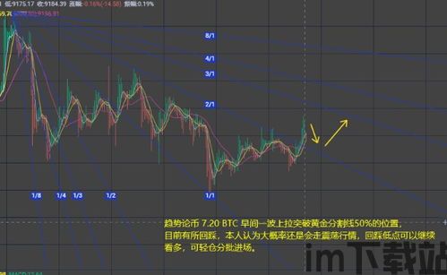 测量比特币,深入解析比特币交易量的测量方法(图6)