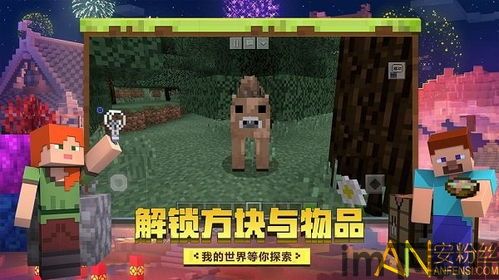 黑龙江星际探险定做,黑龙江星际探险定制的独特魅力(图6)