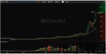 目前比特币的使用概况,现状、趋势与挑战(图1)