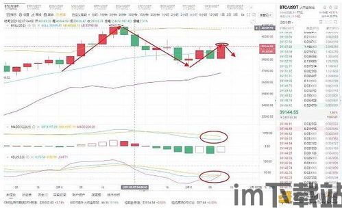 比特币行情最新价格湖,比特币走势图k线图(图8)