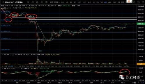 比特币能否破前高,市场分析及未来展望(图9)