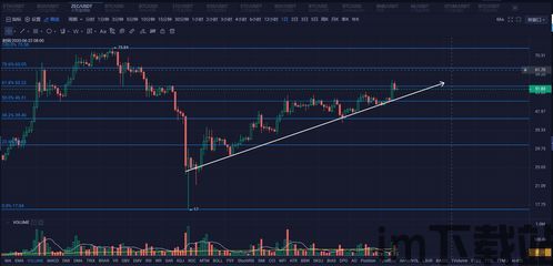 比特币能否破前高,市场分析及未来展望(图10)