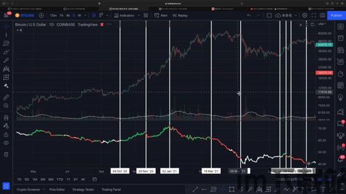 比特币哪个指标最好用,比特币哪个指标最好用？深度解析投资者必备指标(图4)