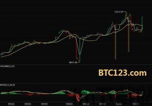 比特币信息btc123,引领数字货币新时代的先锋力量(图1)