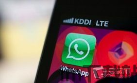 中国手机 whatsapp,中国手机用户WhatsApp使用现状与趋势分析(图2)