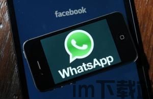 子弹短信跟whatsapp类似吗,对标WhatsApp的即时通讯新势力(图1)