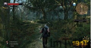 巫师3 新的dlc,狂猎DLC新篇章——揭开神秘面纱的血与酒剧情揭秘(图3)