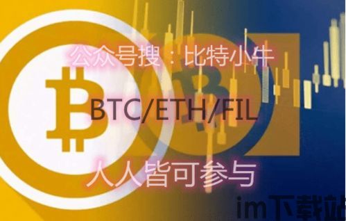 比特币升值2600万被,2600万倍增值背后的故事(图2)