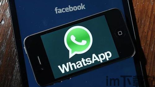 中国大陆可以使用whatsapp,安全便捷的跨平台通讯体验”(图3)