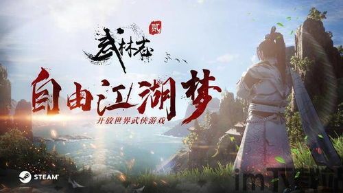 武林志创建人物如何调整,传奇侠客的崛起之路(图3)