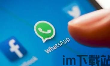 中国whatsapp号码格式,独特编码背后的秘密(图3)