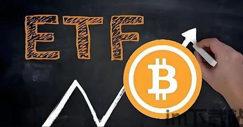 主流加密货币ETF,投资机遇与风险展望(图1)