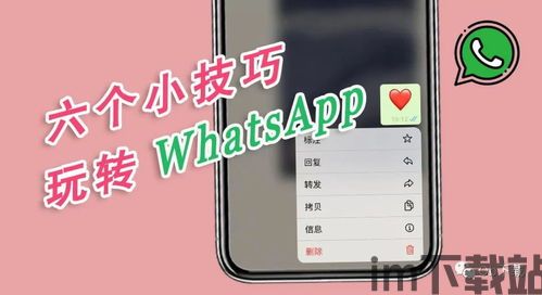 最近大家的whatsapp可以用吗,揭秘全球用户的使用现状与挑战(图2)