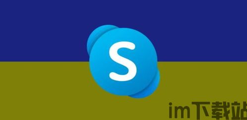 skype谷歌版,跨越时空的沟通新篇章(图3)