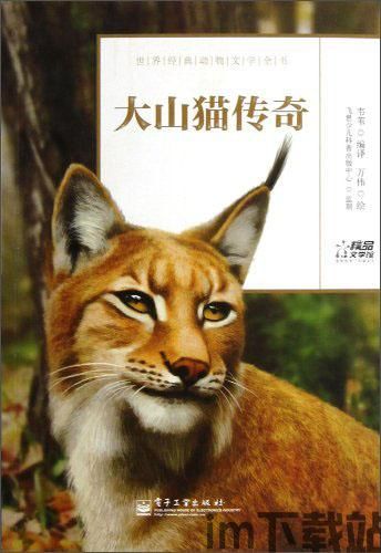 大山猫的个人空间,揭秘其神秘生活与个性魅力(图2)