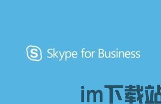 skype撒意思,跨越时空的沟通桥梁(图2)