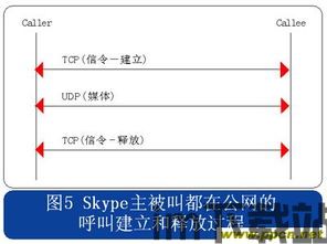 skype解析包问题,揭秘通信难题背后的技术挑战(图3)