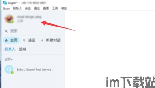 知道skype用户名,探寻网络世界的真实身份(图3)