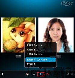 skype切换语言,轻松实现跨国沟通无障碍(图2)