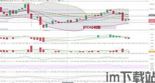 比特币价格时间轴,从萌芽到巅峰的演变轨迹(图2)