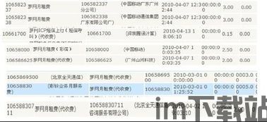 skype话费清单,详尽消费一览(图1)