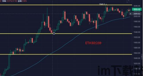 比特币最新分析今日上线,丽盈最新行情解析与交易策略(图2)