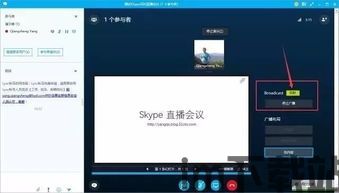 skype能不能设置播出区域,拓展全球观众(图1)