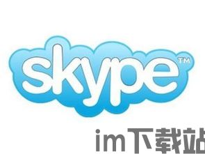 skype可以存储聊天记录吗,Skype聊天记录存储功能详解(图1)