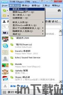 skype什么水平,从入门到精通(图2)