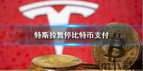 特斯拉暂停用比特币支付,环保考量下的市场波动与未来展望(图3)