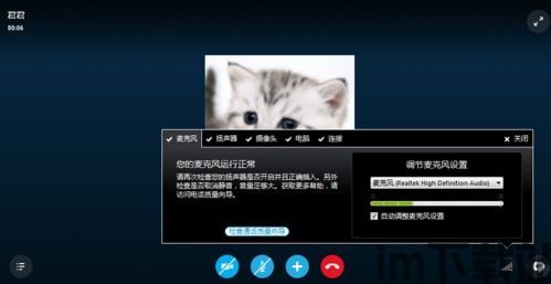 skype耳麦没声音,排查与解决指南(图3)