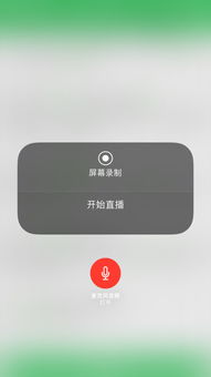 Skype开始录制不显示怎么办,Skype录制功能无法显示解决方案解析(图3)