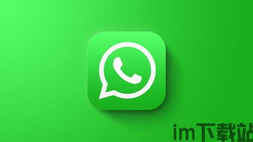 正版whatsapp批量建群,助力企业全球化营销新篇章(图3)