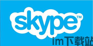 skype测试图像,揭秘即时通讯工具的界面革新(图3)