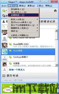 skype会议中可以接电话吗,Skype会议中电话接入功能解析(图2)