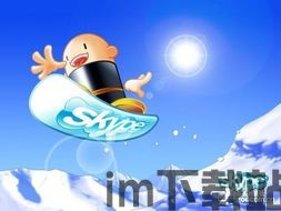 skype付费才能用,全面体验无障碍沟通