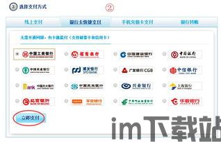 skype付款失败,探究原因及解决方案