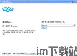 Skype的使用率,沟通新时代的见证者