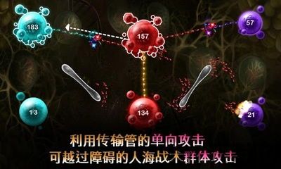 繁殖战争2 