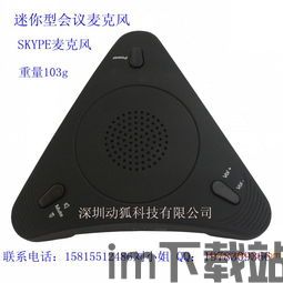 skype话筒静音,轻松掌控通话环境