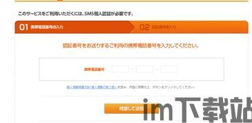 skype收验证码,轻松获取并验证