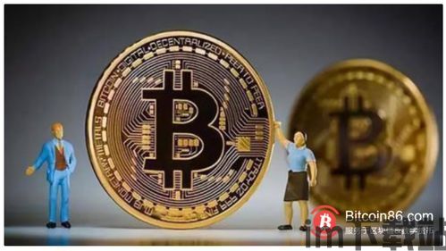 0.0155比特币,揭秘其背后的价值与未来趋势”