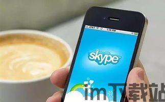 skype国外售价,全球市场价格大揭秘！