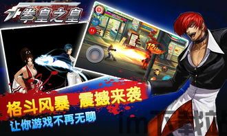 格斗拳王英雄 