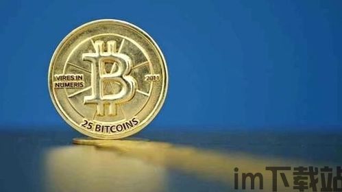 比特币的载体形式,比特币的载体形式与未来展望